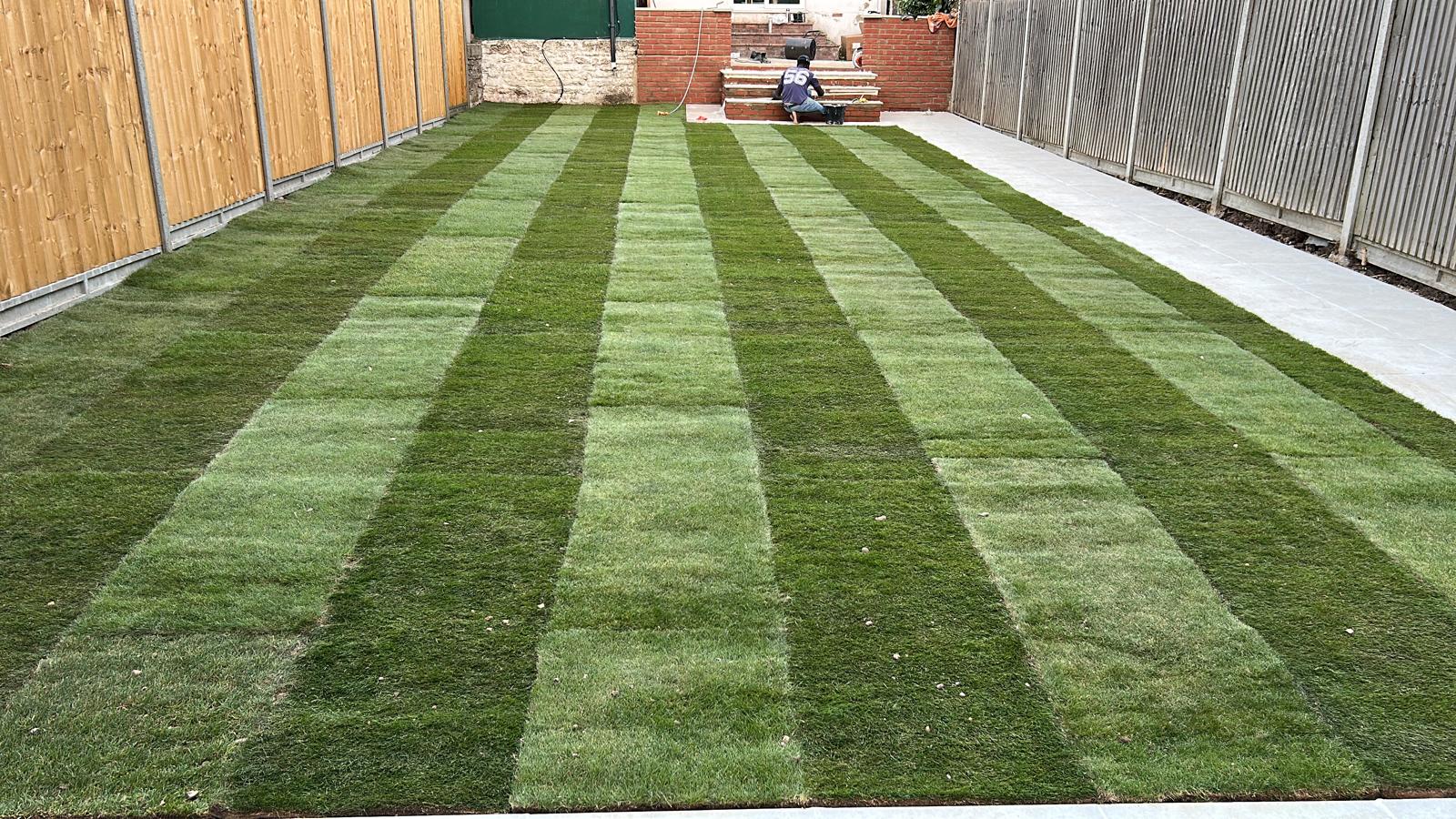 Garden transformation and lawn maintenance project